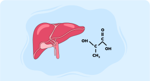 Illustration of the liver alongside two molecules, highlighting key aspects of lactic acidosis management.