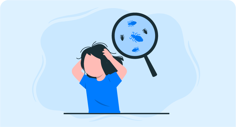 Course on Head Lice and Pediculus Humanus